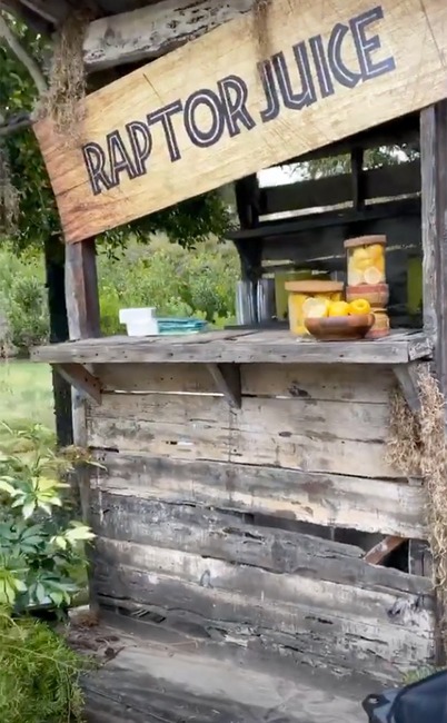 Saint West, 4th Birthday Party